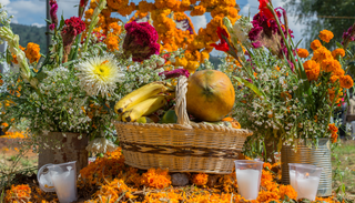 No todo es cempas&uacute;chil: 5 flores para tu altar de D&iacute;a de Muertos y qu&eacute; significa cada una