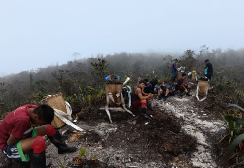 A subida envolve aproximadamente seis a oito dias de trilha pela floresta até alcançar o cume. Crédito: Leandro Eiró/ICMBio