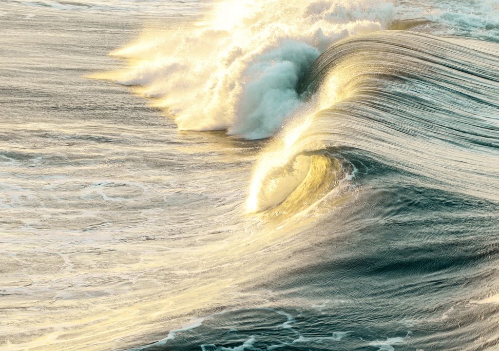 Olas Olas