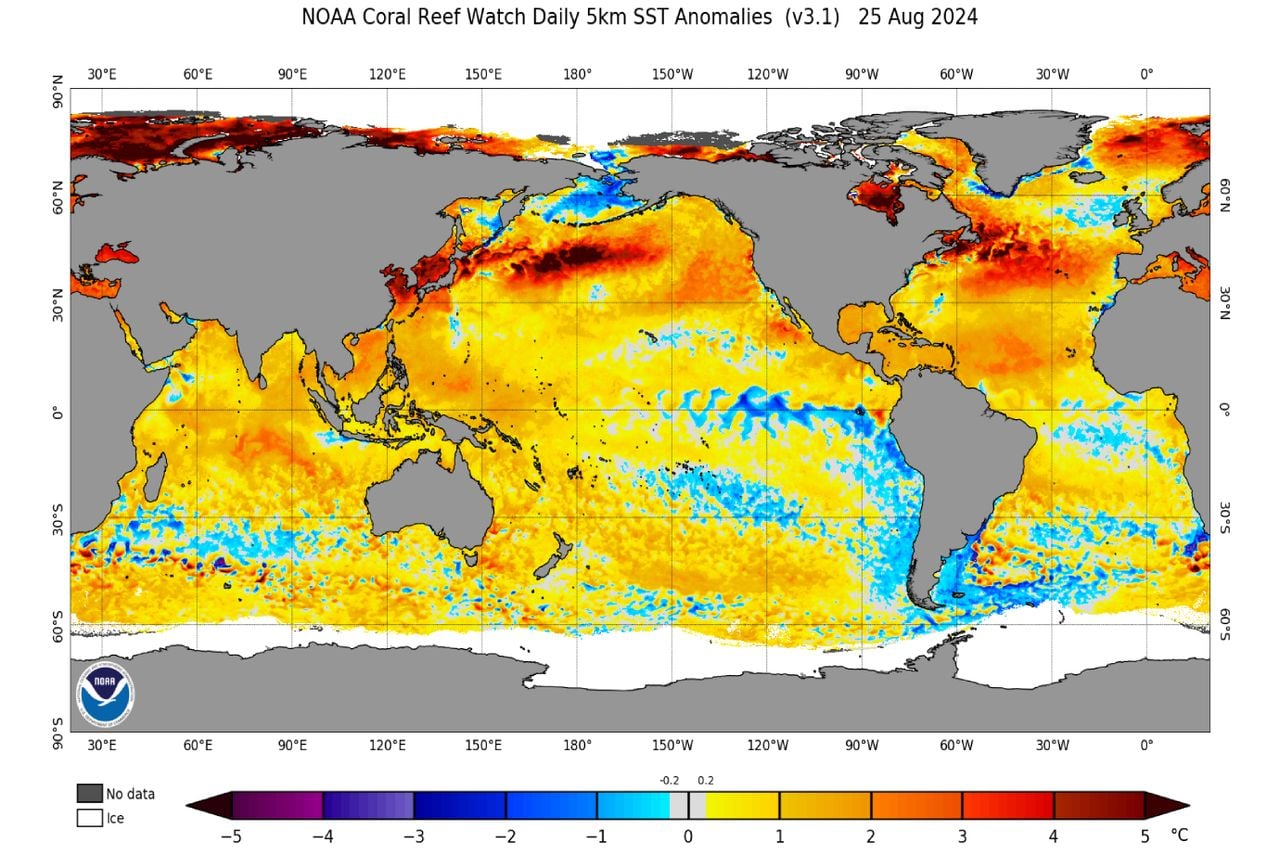 Anomalías de la temperatura superficial del mar (25 de agosto). Fuente: NOAA.