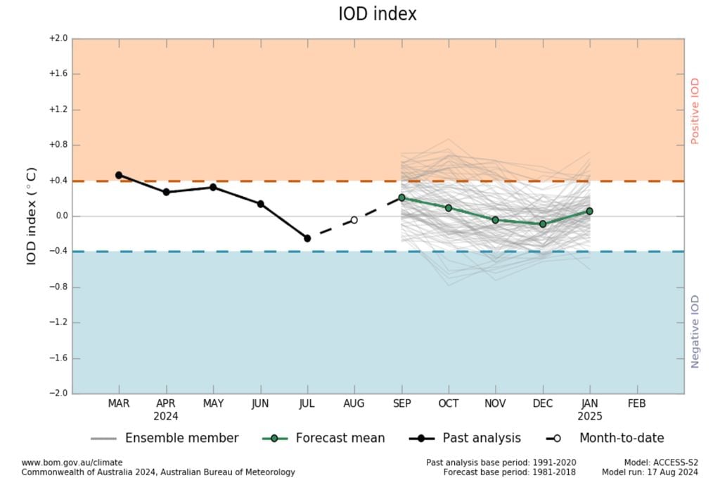 IOD, la niña, el niño.