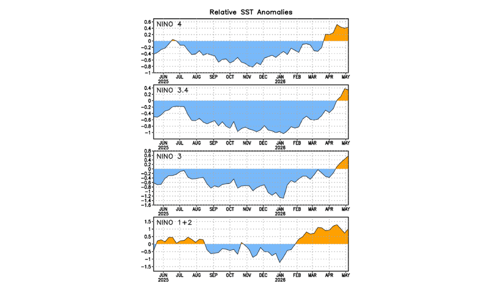 Evolución de las anomalías relativas de temperatura superficial del mar en las regiones Niño 4, Niño 3.4, Niño 3 y Niño 1+2. La región Niño 3.4 muestra un rápido calentamiento entre abril y mayo de 2026, señal clave para el seguimiento de un posible desarrollo de El Niño. Crédito: NOAA/CPC.