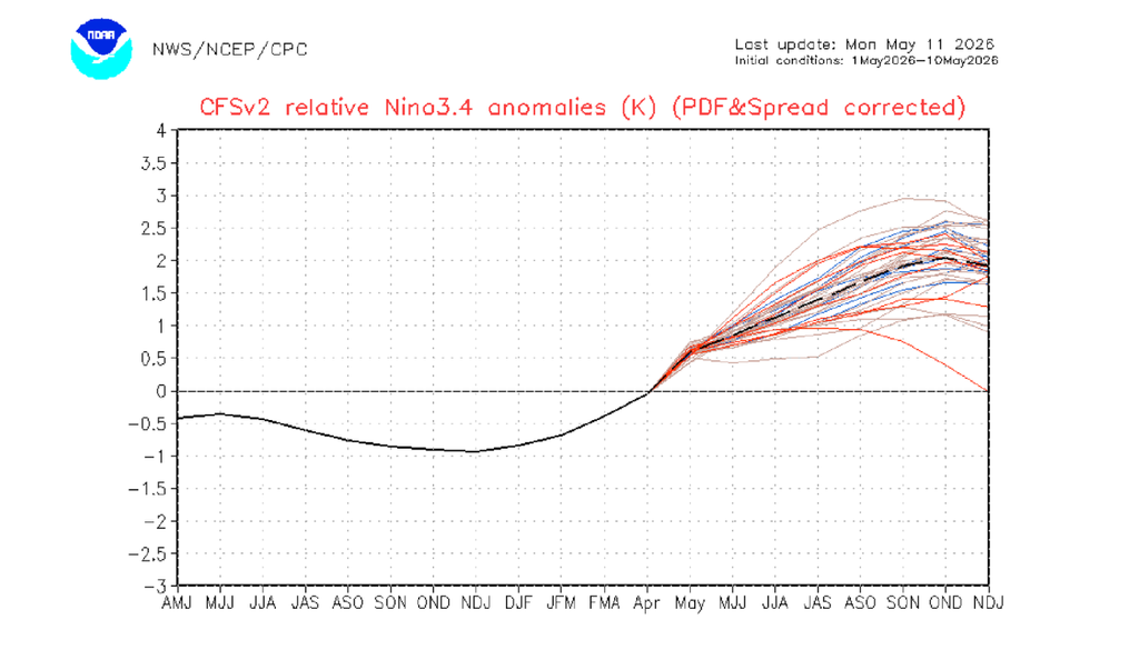 Predicción del modelo CFSv2 para las anomalías relativas de temperatura superficial del mar en la región Niño 3.4. La proyección muestra un rápido calentamiento del Pacífico ecuatorial desde mayo de 2026, con escenarios que apuntan al desarrollo y fortalecimiento de El Niño hacia el segundo semestre. Crédito: NOAA / NWS / NCEP / CPC.