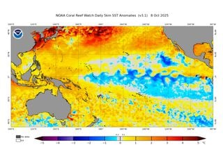 La NOAA declara que el fenómeno de La Niña ya está presente en el Pacífico: esto es lo que se puede esperar
