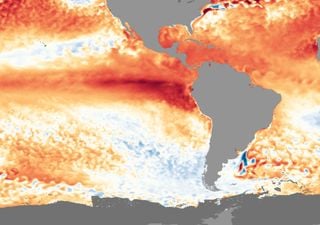 NOAA proyecta que actual evento El Niño se extenderá hasta el otoño 2024 del hemisferio sur