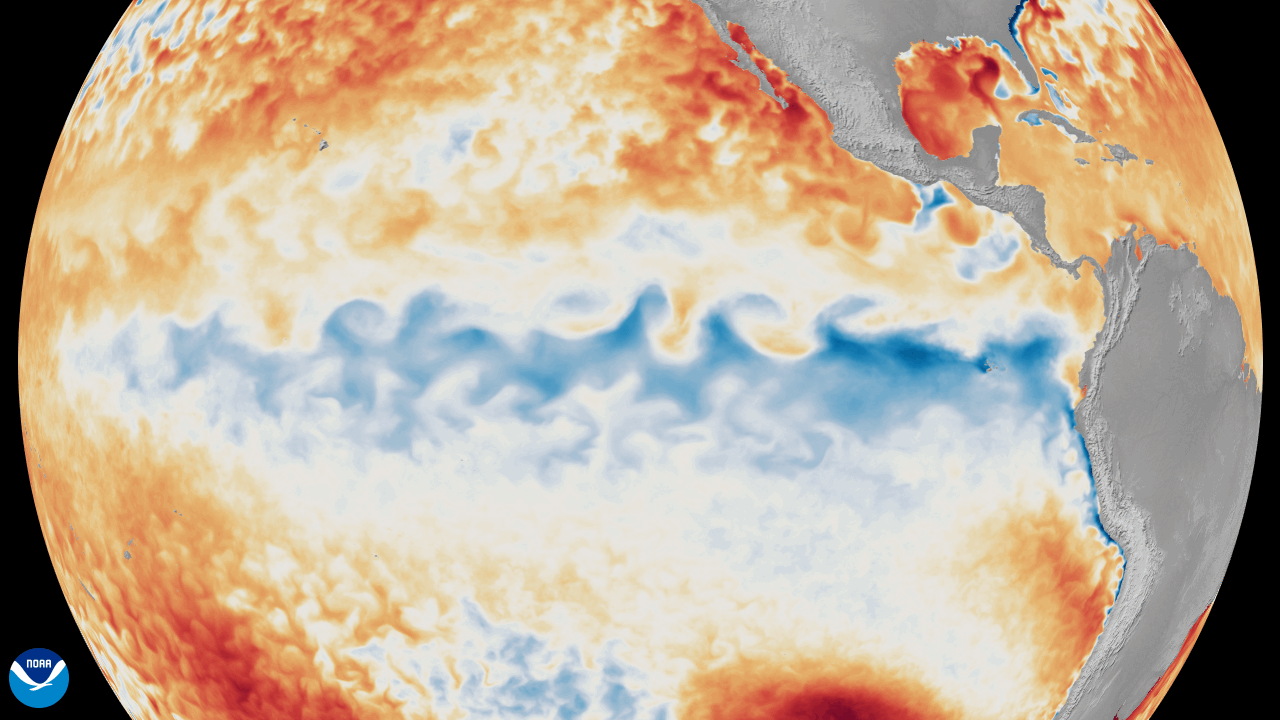 Animación que muestra la variación de la temperatura superficial del mar con respecto a la media en el océano Pacífico tropical, desde el 1 de enero hasta el 8 de junio de 2026. Crédito de la imagen: NOAA