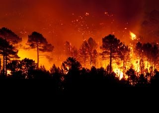 NOAA revela ferramentas de detecção de incêndios florestais para revolucionar os avisos