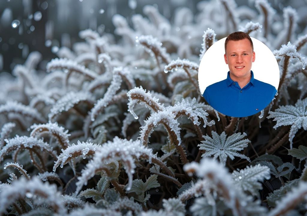 experte, habermehl, frost experte, habermehl, frost
