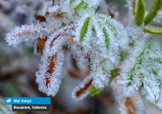 Noche de escarcha y hielo en la Península Ibérica, ¿volverán mañana?