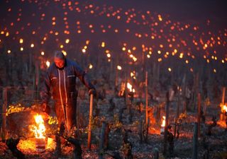 Increíble espectáculo en viñedos franceses