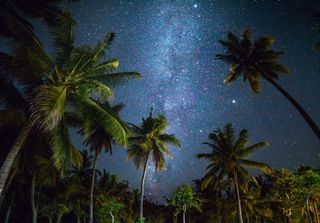 ¿Nuestras noches tropicales se parecen realmente a las del trópico? 