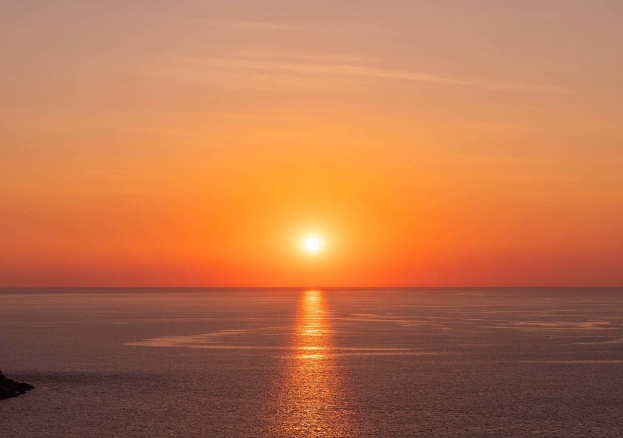Planktonische Mikroalgen wachsen in offenen Gewässern und können nur tagsüber Photosynthese betreiben. Bild: Adobe.