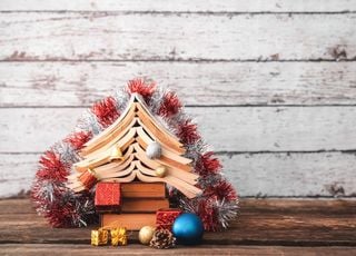 Noël éco-responsable : comment bien choisir son sapin de Noël ? 