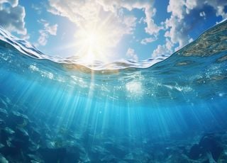 Nombreux records et océans en surchauffe : quelles en sont les raisons ?