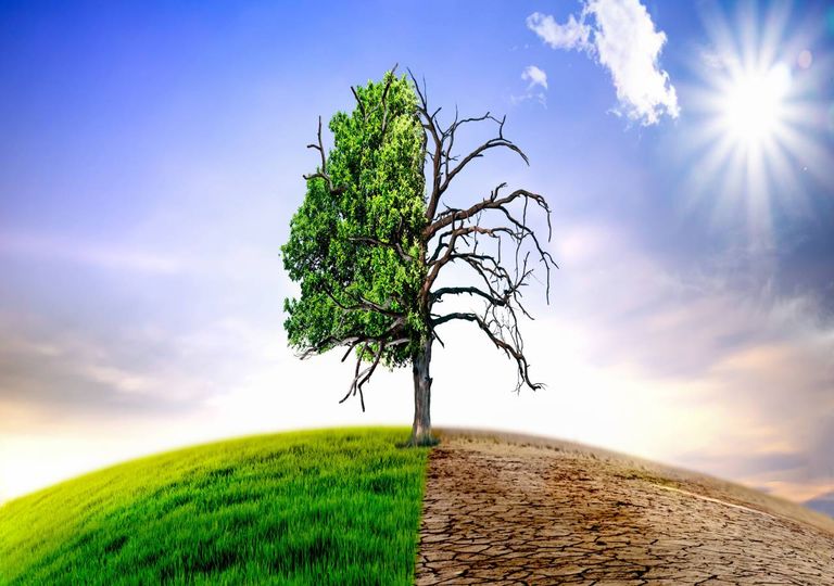 Alterações climáticas Alterações climáticas