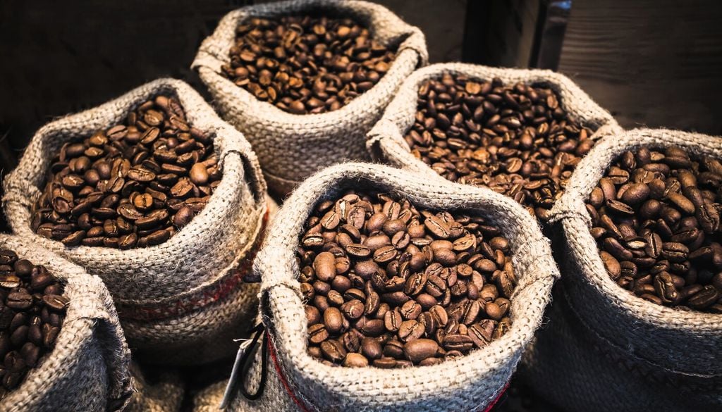 Produce caffeina come difesa naturale