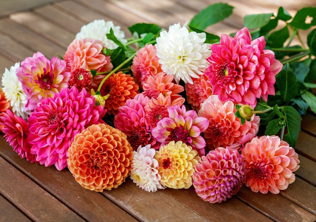 Una volta recisi, i fiori passano nelle abili mani di fioristi e flower designer