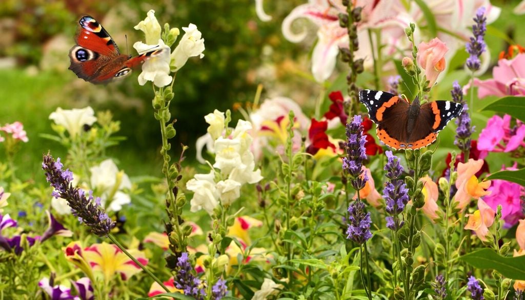 I fiori nell'orto attirano una moltitudine di insetti impollinatori