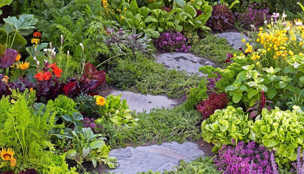 Consociazioni tra fiori e ortaggi per ottenere vantaggi reciproci