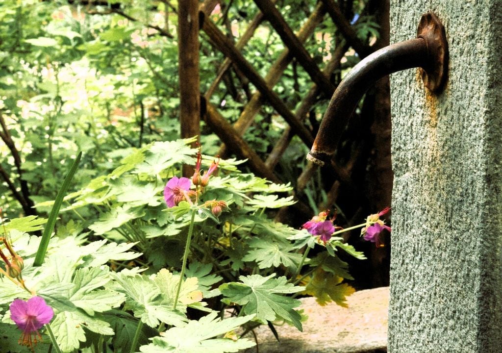 Fontanella da giardino