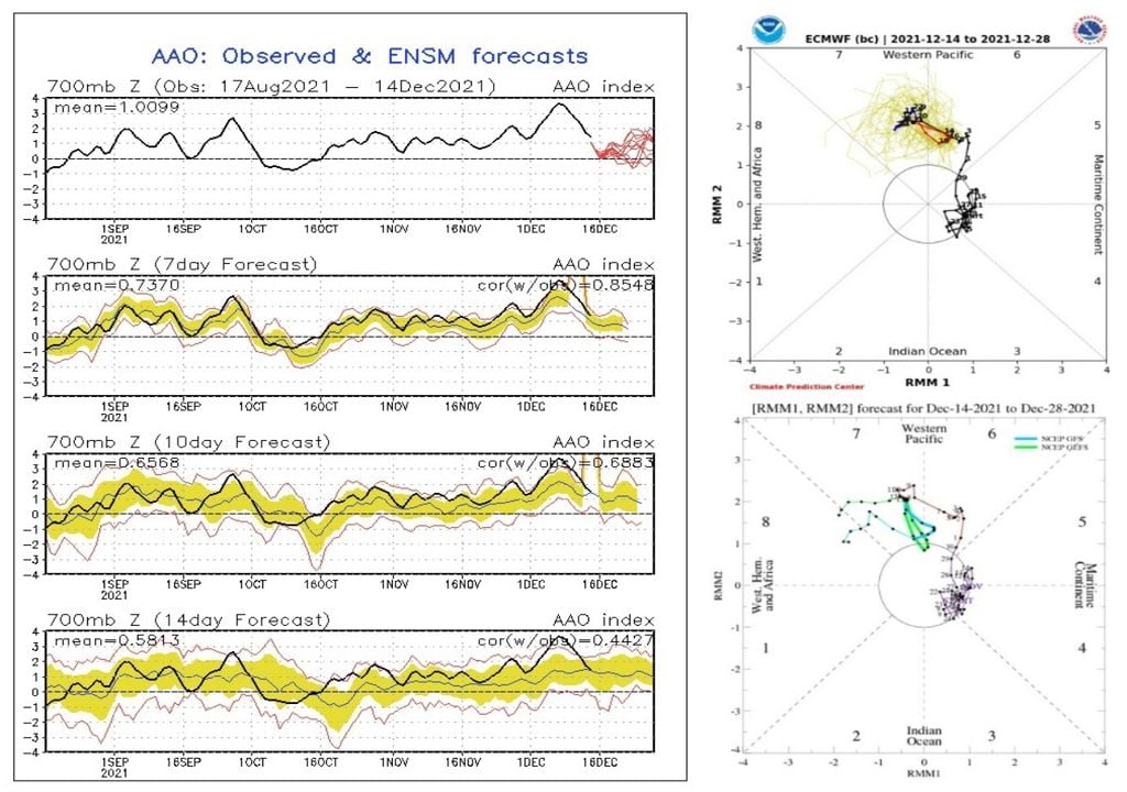 Oscilação Antártica e Madden-Julian