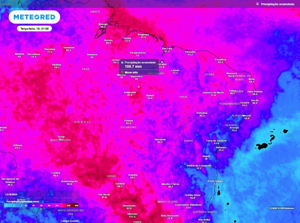 Previsão do acumulado de precipitação (em mm) entre esta quinta-feira (5) e a terça-feira (10), segundo o modelo europeu ECMWF.