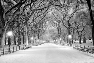 Northeast Winter Storm Update: New York City and The Surrounding Area Saw Over a Foot of Snow Overnight