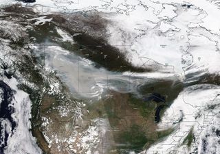Una de las noticias del año: incendios forestales sin precedentes en Canadá durante 2023