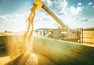 Nova abordagem para estimar o potencial de rendimento das culturas agrícolas proposta por equipa internacional