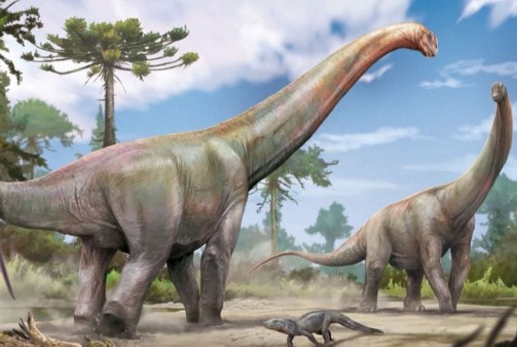 Arte gráfica do Dasosaurus tocantinensis. Crédito: Jorge Blanco