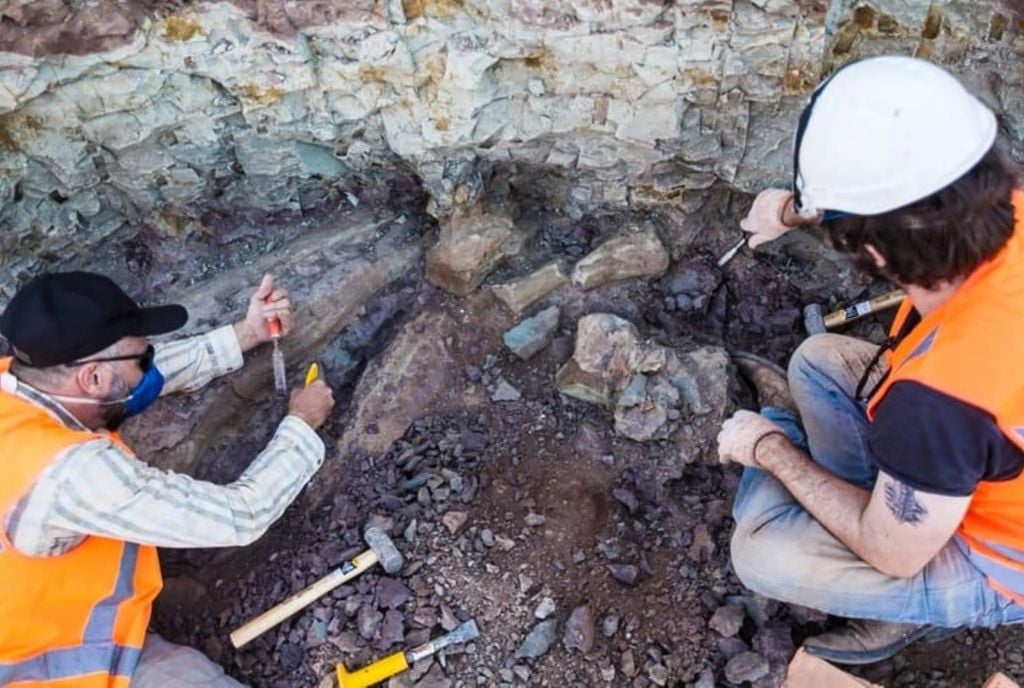 Sítio arqueológico onde o dinossauro gigante foi encontrado. Crédito: AMAI fotografia