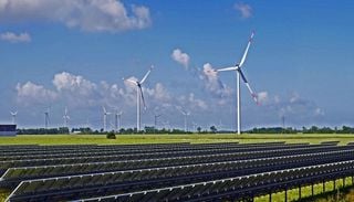 Nova estrat&eacute;gia nacional de biodiversidade trava a expans&atilde;o desenfreada de energias renov&aacute;veis