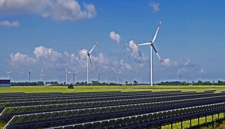 Nova estrat&eacute;gia nacional de biodiversidade trava a expans&atilde;o desenfreada de energias renov&aacute;veis