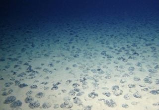 Nova fonte de oxigênio é descoberta nas profundezas do Pacífico, questionando as origens da vida
