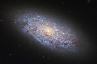 Nova hip&oacute;tese sugere que a mat&eacute;ria escura &eacute; composta por diferentes tipos de part&iacute;culas