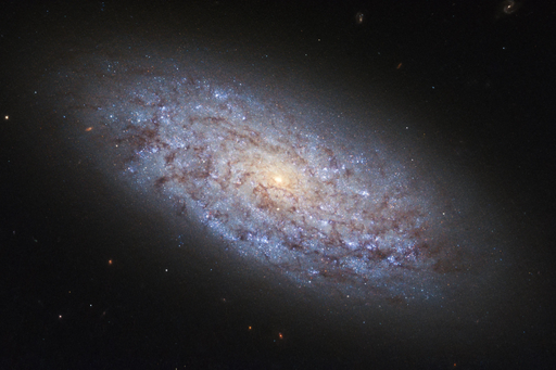 Nova hip&oacute;tese sugere que a mat&eacute;ria escura &eacute; composta por diferentes tipos de part&iacute;culas