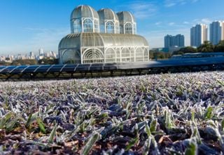 Ar polar eleva risco de geadas para boa parte do centro-sul do Brasil nesta semana; veja as áreas de risco