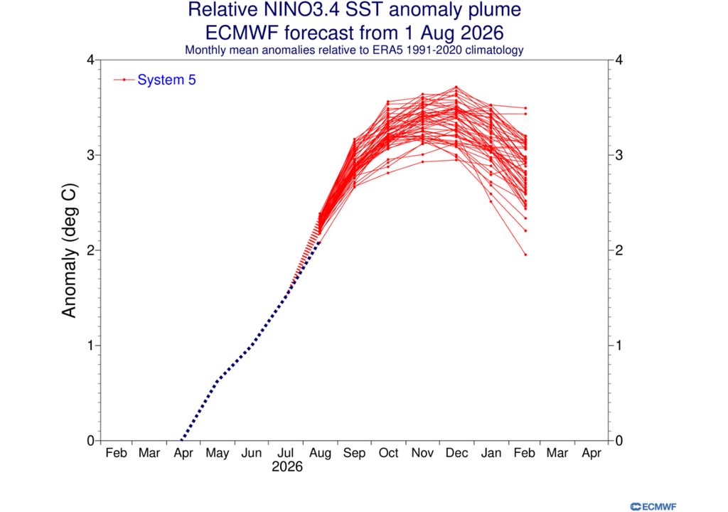 Previsão de anomalia relativa do El Niño segundo o ECMWF em agosto. Créditos: ECMWF.