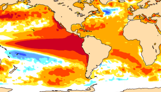 Nova previs&atilde;o do ECMWF refor&ccedil;a: pico do El Ni&ntilde;o ser&aacute; acima de 3&deg;C