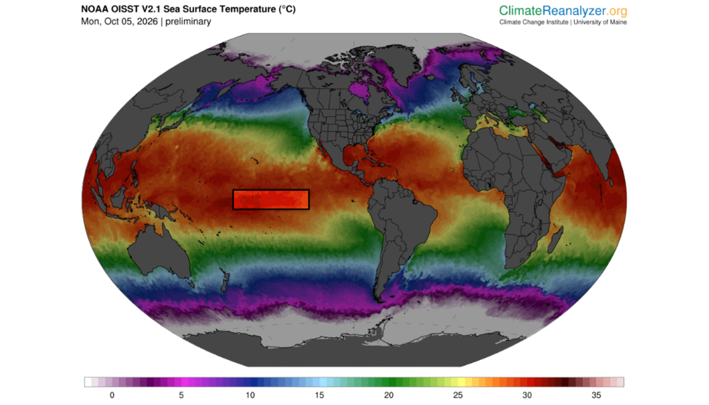 Temperatura diária da superfície do mar no último dia 5 de outubro de 2026, onde o retângulo destaca a região Niño 3.4, onde se monitora o fenômeno. Créditos: Climate Reanalyzer. Temperatura diária da superfície do mar no último dia 5 de outubro de 2026, onde o retângulo destaca a região Niño 3.4, onde se monitora o fenômeno. Créditos: Climate Reanalyzer.