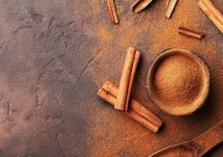 New TikTok trend: Does adding cinnamon to your coffee really help you burn fat? Science explains