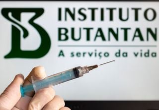 Nova vacina contra Dengue do Butantan é de dose única protege contra os principais sorotipos do Brasil