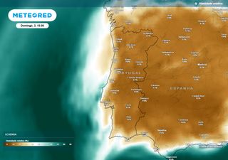 Onda de calor não dará tréguas em Portugal nos próximos dias – saiba onde e como se proteger