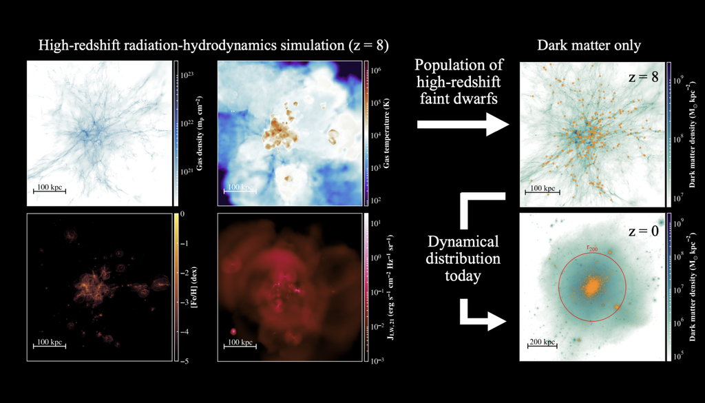 As simulações combinam gravidade, hidrodinâmica e radiação para investigar como as primeiras galáxias evoluíram e modificaram o ambiente ao redor. Crédito: Katz et al. 2026 As simulações combinam gravidade, hidrodinâmica e radiação para investigar como as primeiras galáxias evoluíram e modificaram o ambiente ao redor. Crédito: Katz et al. 2026