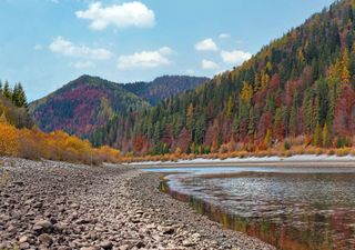 Novembersommer: Der Monat ist zu warm, zu sonnig und zu trocken!