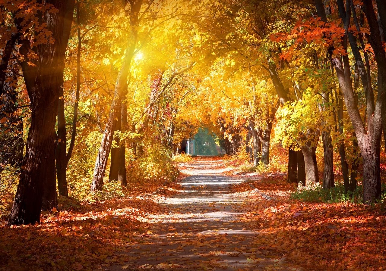 Novembre metterà fine a siccità e caldo anomalo? Ecco la linea di tendenza