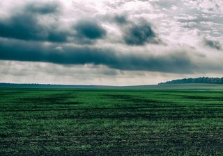 Novembro de 2020 com chuvas regulares e temperaturas mais amenas