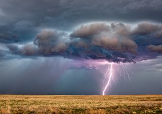 Se va noviembre, llega diciembre… ¿cómo estará el tiempo?