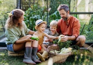 Noviembre en el huerto: qué sembrar y cuáles son las tareas para un verano exitoso