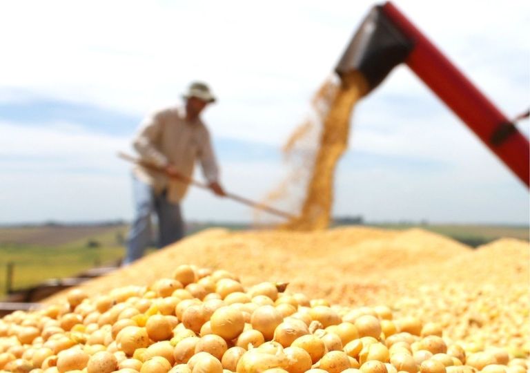 Novo calendário de cultivo é proposto para reduzir riscos climáticos Novo calendário de cultivo é proposto para reduzir riscos climáticos